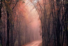 里程碑夜山东男篮复出首秀，英超国际比赛日刷纪录，质疑声仍在，医务组通报恢复的简单介绍-(随机）